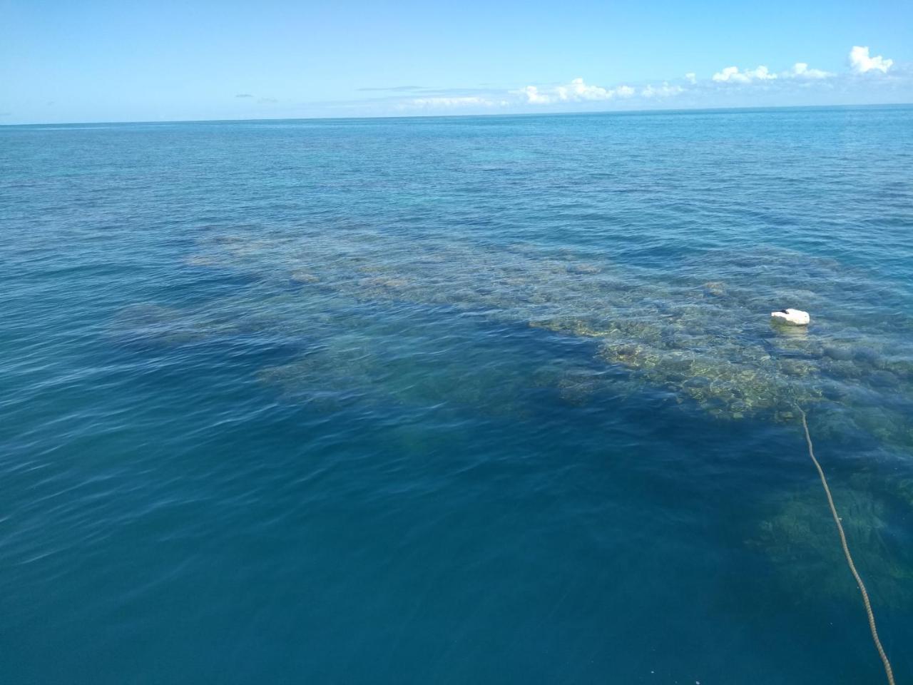 Pousada Das Sereias カラベラス エクステリア 写真